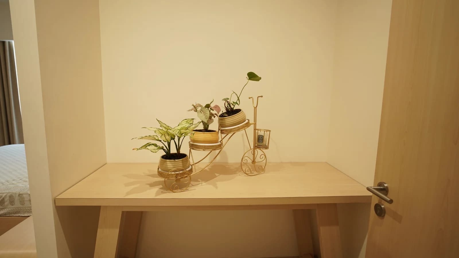 Transform your space with Pla Design